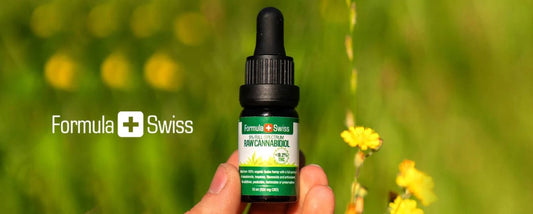 Neue CBD-RAW-Öle voller natürlicher CBDa