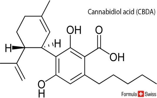 Molekulare Struktur von CBD