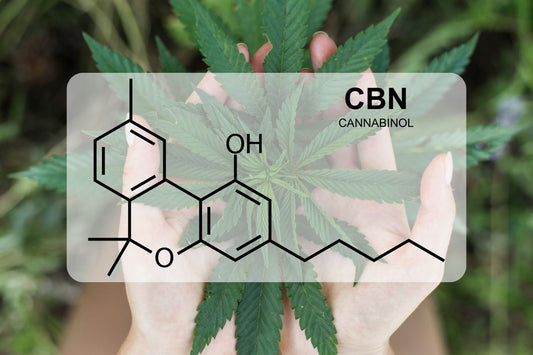 What is CBN (Cannabinol)?