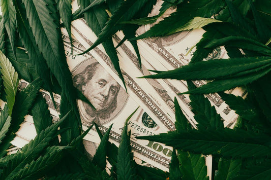 Wirtschaftliche Auswirkungen von legalem Cannabis in Kanada