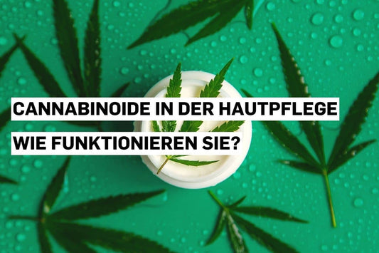 Hautpflegeprodukt mit Cannabinoid
