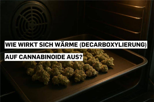 Wie wirkt sich Wärme (Decarboxylierung) auf Cannabinoide aus?