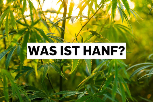 Was ist Hanf?