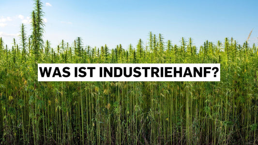 Was ist Industriehanf?