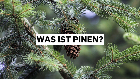 wast ist pinen?