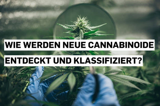Untersuchung der Cannabinoidklassifikation