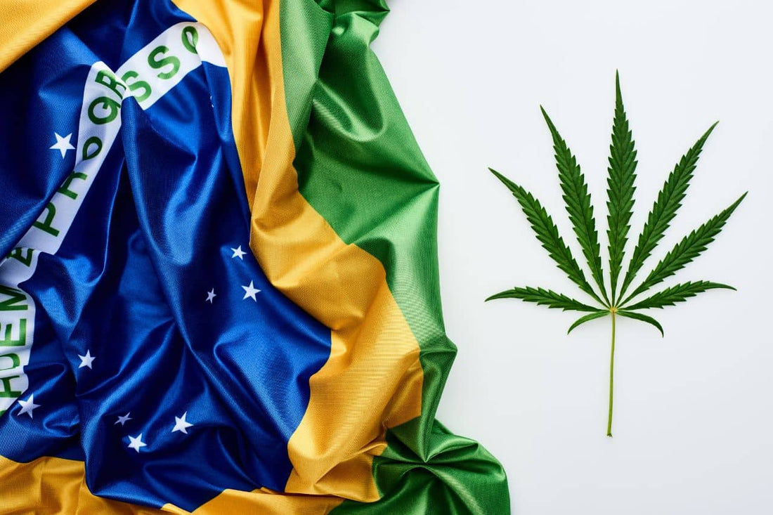 Brasilien-Flagge und Cannabisblatt