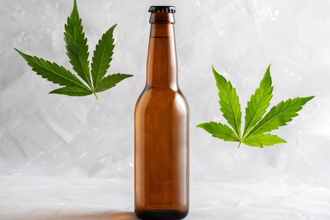 Cannabisblätter und eine Flasche Bier