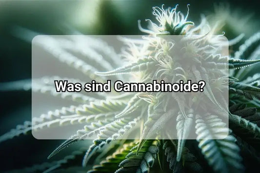Was sind Cannabinoide?