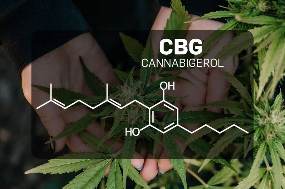 CBG molekulares 2D-Bild