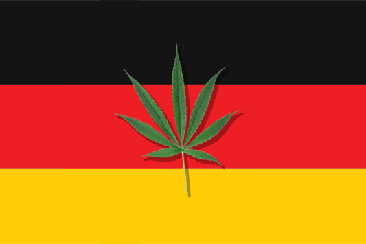 Cannabislegalisierung in Deutschland
