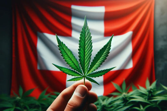 Cannabisblatt auf der Schweizer Flagge