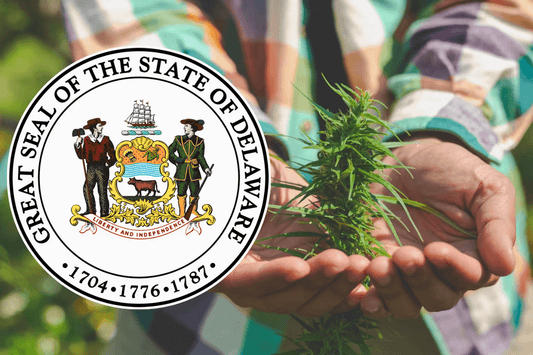 Delaware legalisiert Cannabis für Erwachsene
