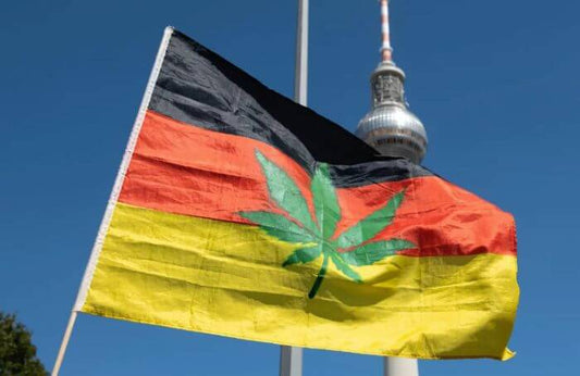 Deutschlands Cannabis-Legalisierungsplan