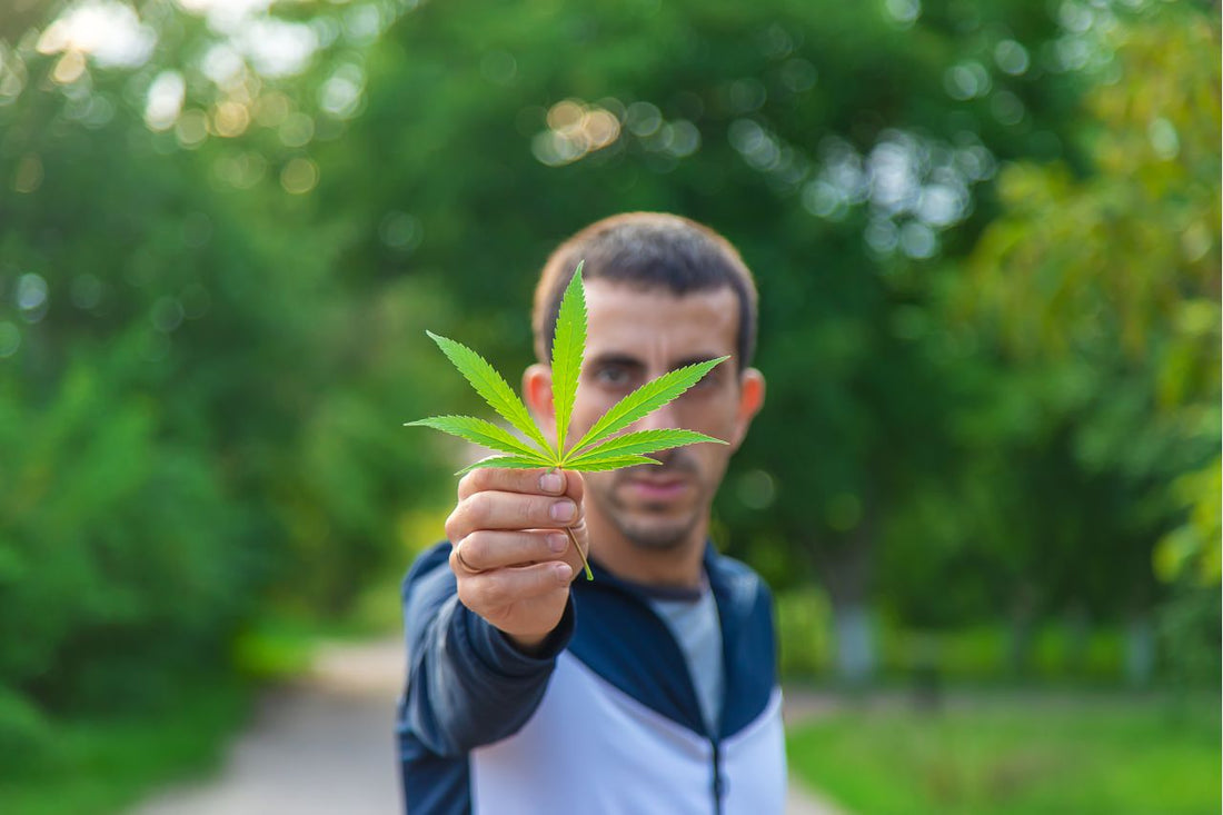 Israels Politik für medizinisches Cannabis