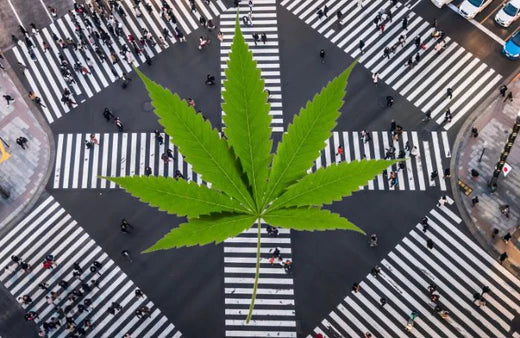 Ginza, Tokio. und ein Cannabisblatt