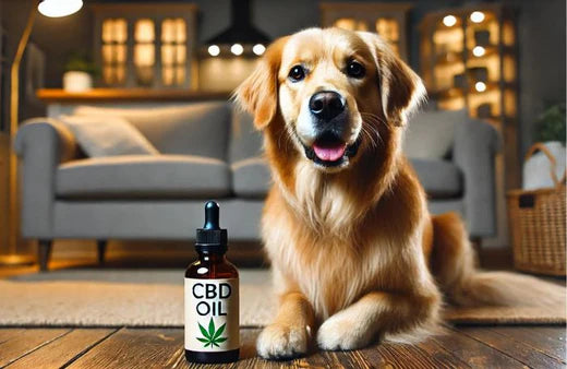 Hund und eine Flasche CBD-Öl