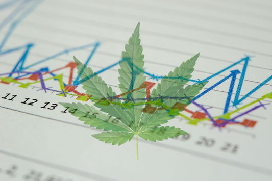 Medizinisches Cannabis: Globaler Aufstieg und Auswirkungen