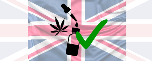 Millionen von Briten glauben fälschlicherweise, dass CBD-Öl in Großbritannien illegal ist, wie eine neue Studie zeigt.