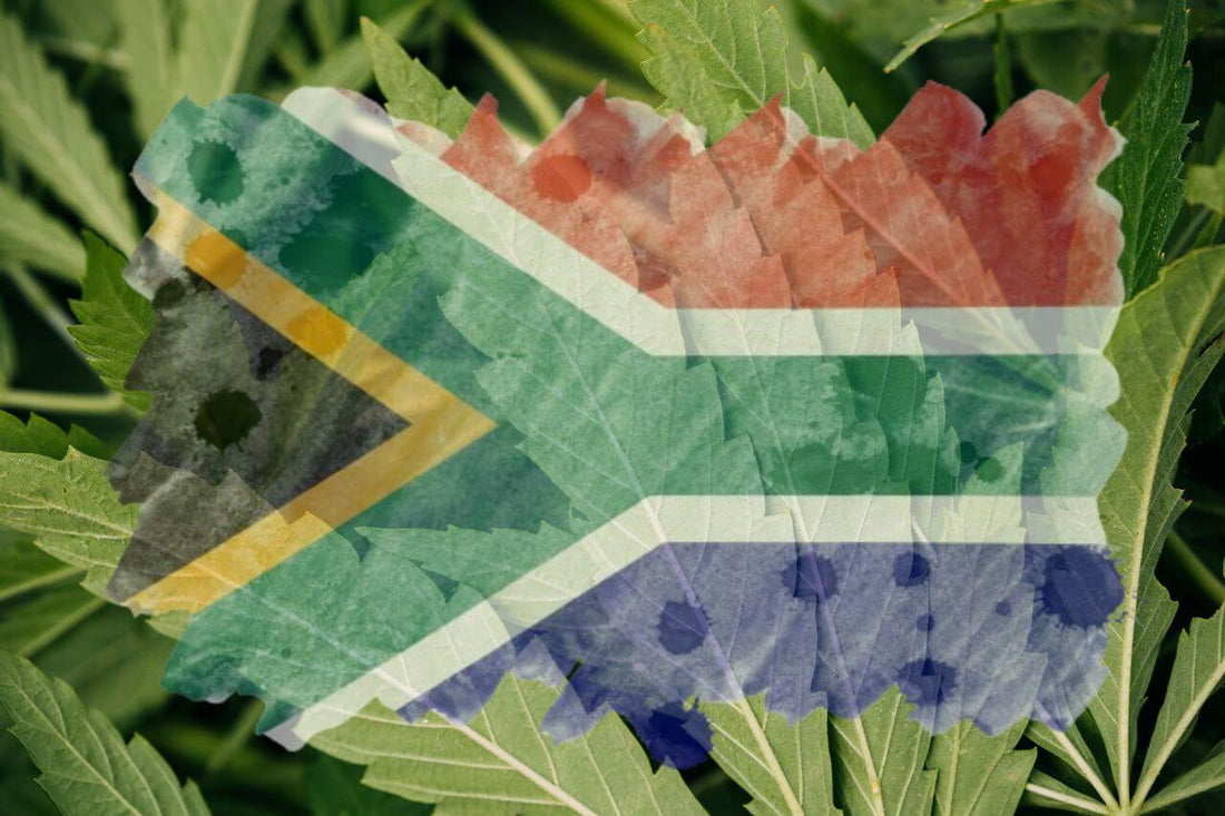 Afrikanische Flagge und Cannabisblatt 