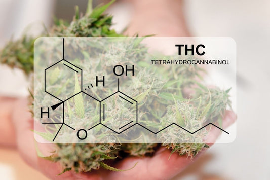 Was ist THC (Tetrahydrocannabinol)?