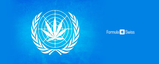 Das Gremium der Vereinten Nationen veröffentlicht die allererste Überprüfung von Marihuana