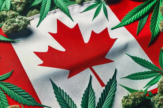 Kanadische Flagge und Cannabisblätter