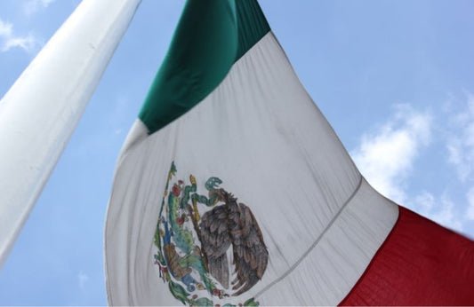 Wehende Flagge von Mexiko
