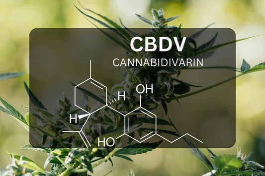 Chemische Struktur von Cannabidivarin (CBDV)