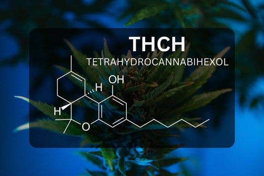 THCH chemische Struktur mit Cannabis- bzw. Marihuanablüte im Hintergrund