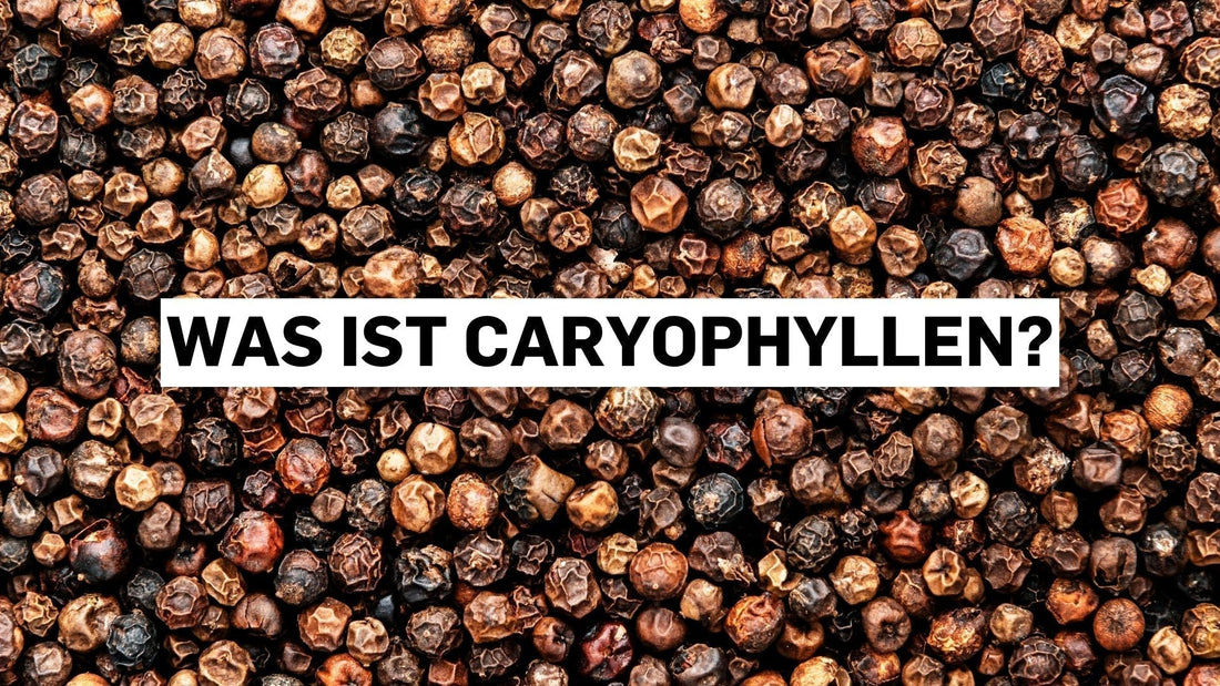 Was ist Caryophyllen? Das würzige Terpen in Cannabis