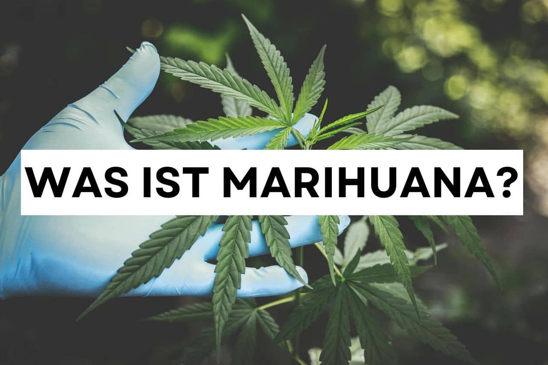 Was ist Marihuana?
