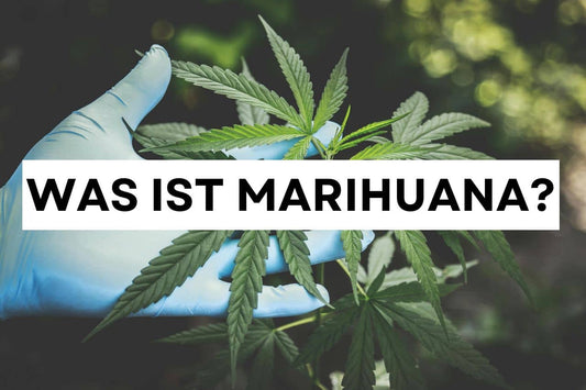 Was ist Marihuana?
