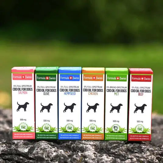 CBD-Öl für Hunde