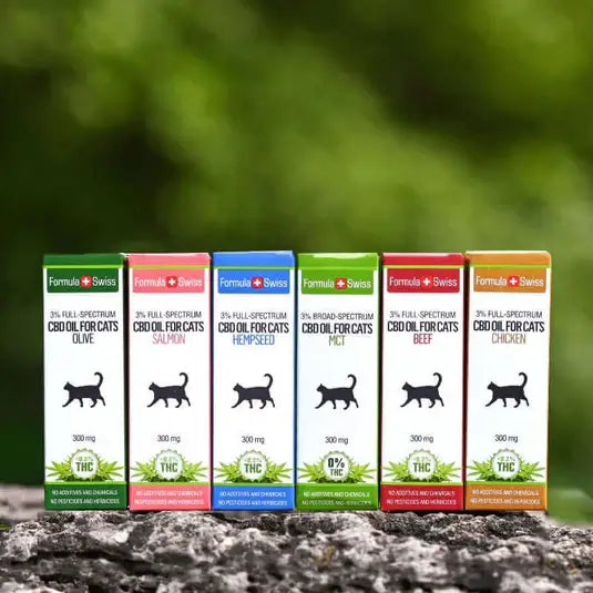 CBD-Öl für Katzen