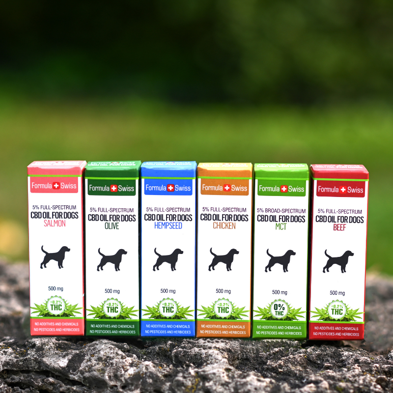 CBD-Öl für Haustiere kaufen
