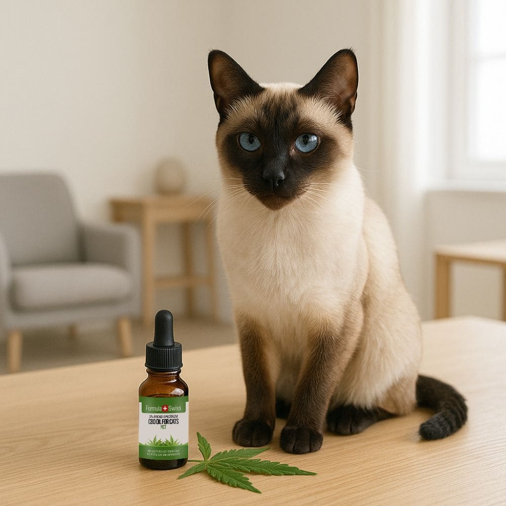 CBD Ol fur Katzen MCT